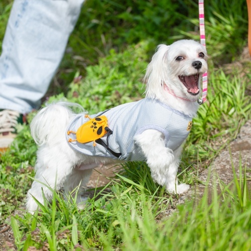 Buddyﾎﾟｰﾁ ｼﾙﾊﾞｰ XS