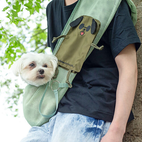 Buddy ｽﾘﾝｸﾞ ﾐﾝﾄ M