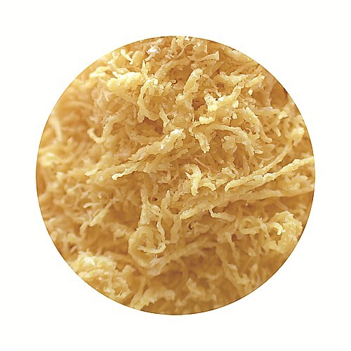 大豆のちからプロテインファイバー４０ｇ