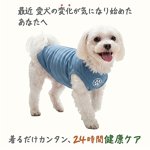 ウェルネスウェア　インディゴブルーＭ