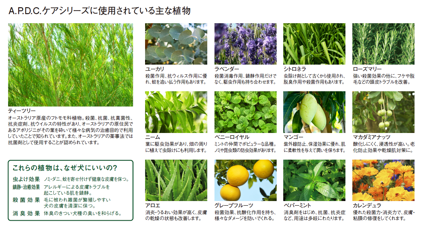 APDC製品で配合されている主な植物