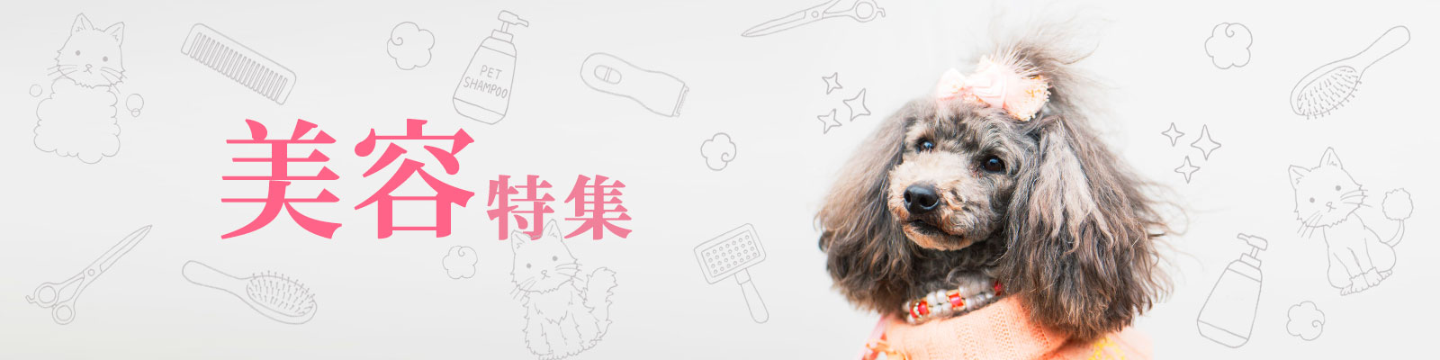 美容特集