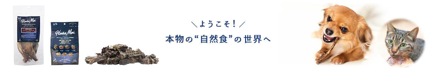 ハレマエのイメージ画像