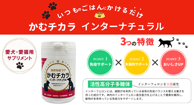 かむチカラ インターナチュラル