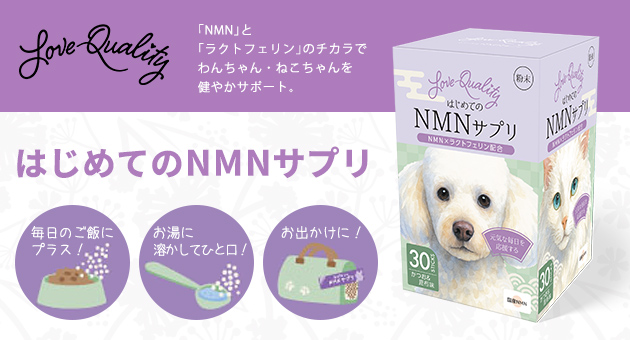 はじめてのNMNサプリ