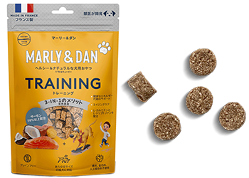 MARLY&DAN training dog
