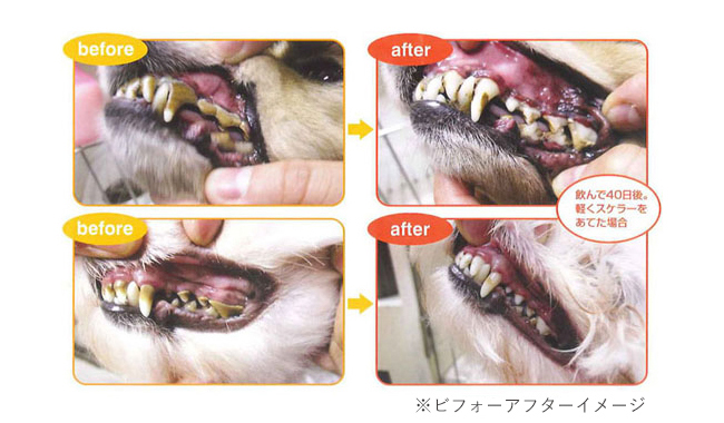 KPSマウスクリーナーの使用前後のイメージ