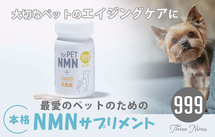 NMN supplement