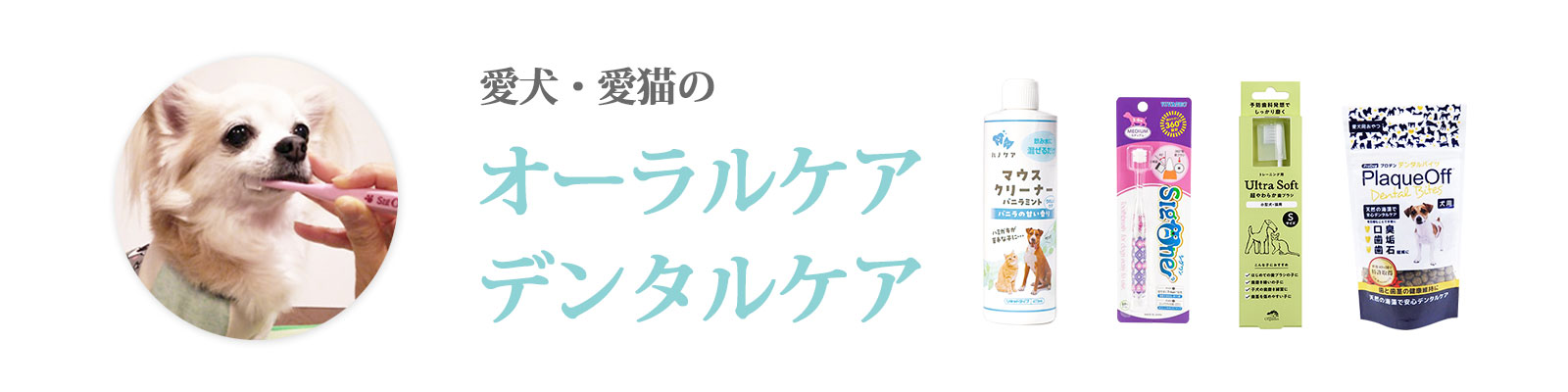 愛犬・愛猫のオーラルケア、デンタルケア特集