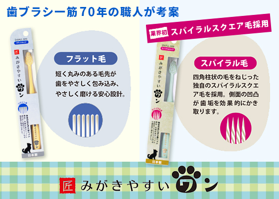 みがきやすいワン