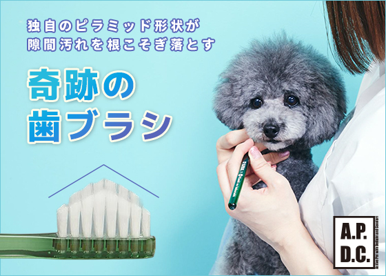 奇跡の歯ブラシ