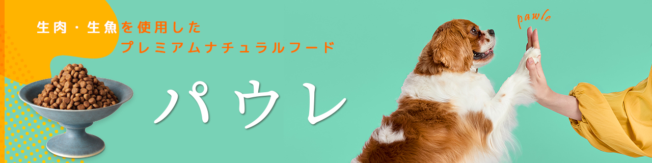 パウレ