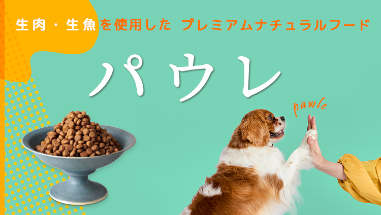 パウレ