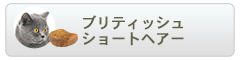 ロイヤルカナン フィーラインブリードニュートリション ブリティッシュショートヘアー