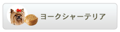 ロイヤルカナン ブリードヘルスニュートリション ヨークシャーテリア