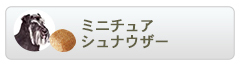 ロイヤルカナン ブリードヘルスニュートリション ミニチュアシュナウザー