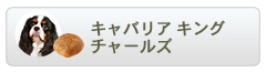 ロイヤルカナン ブリードヘルスニュートリション キャバリアキングチャールズ