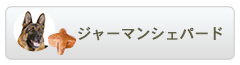 ロイヤルカナン ブリードヘルスニュートリション ジャーマンシェパード