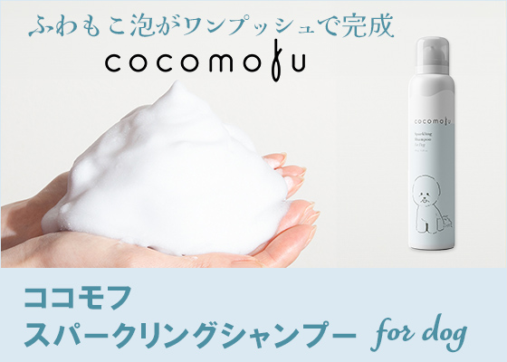 ココモフ　スパークリングシャンプー　for dog