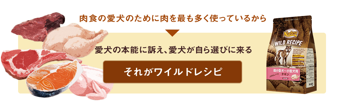 肉食の愛犬のために肉を最も多く使っているから愛犬の本能に訴え愛犬が自ら選びに来る、それがワイルドレシピ