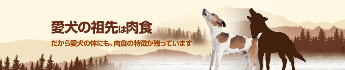 愛犬の祖先は肉食、だから愛犬の体にも肉食の特徴が残っています